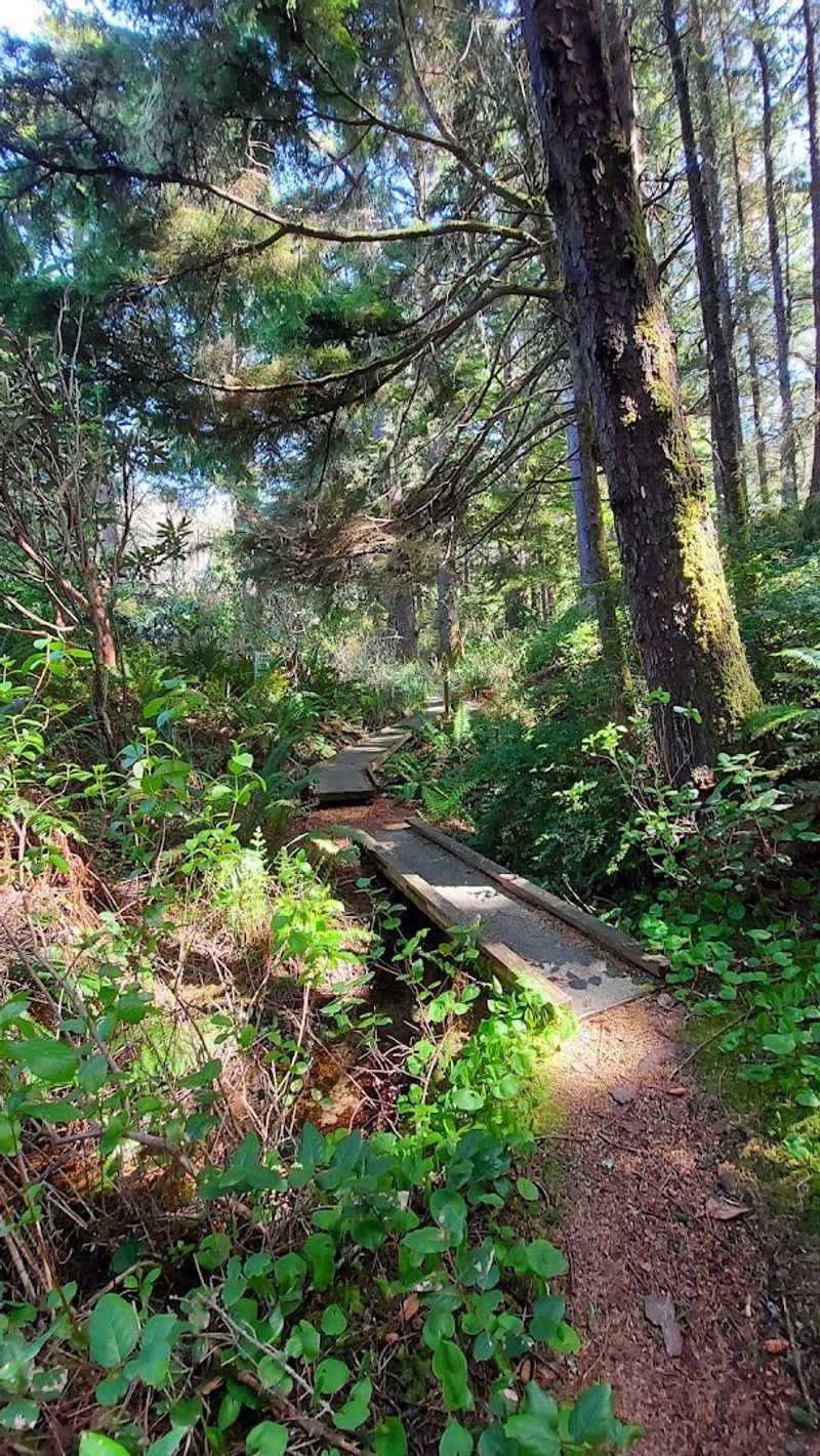 Pathways, Steps, and a Bridge Over Mitchell Creek
