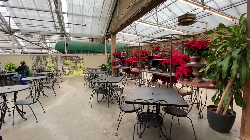 Patrick's Bakery and Cafe, A Hidden Gem Inside the Greenhouse