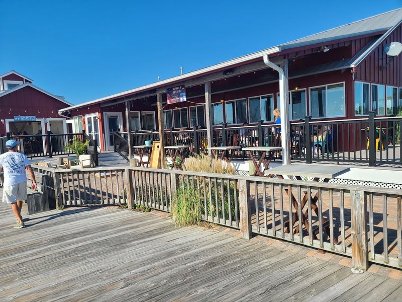 Paws, People, and the Perfect Outdoor Deck