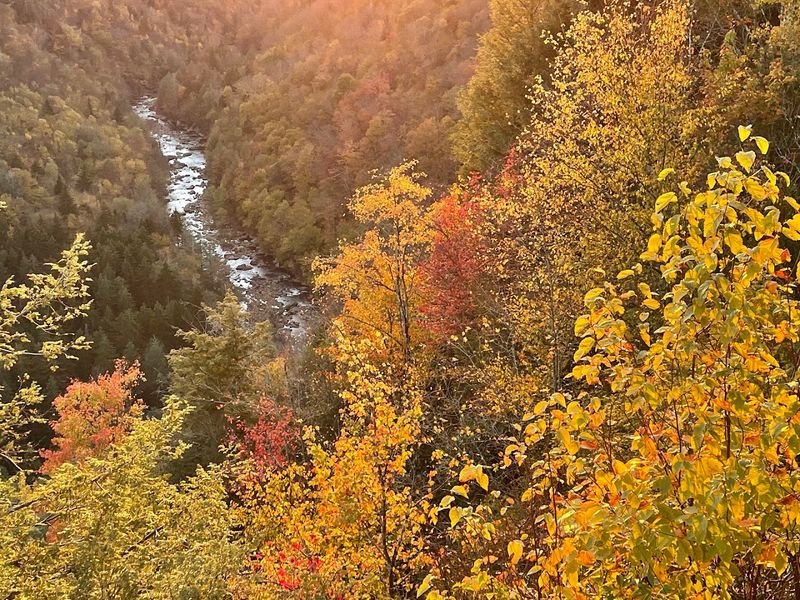 Pendleton Overlook's Golden Hour Glow Pendleton Overlook's Golden Hour Glow