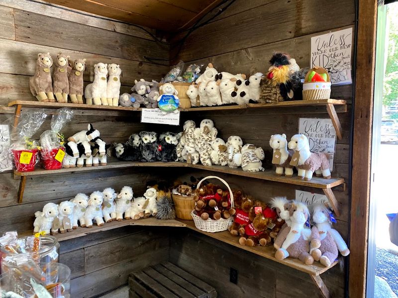 Pepper's Play House Village For Little Ones