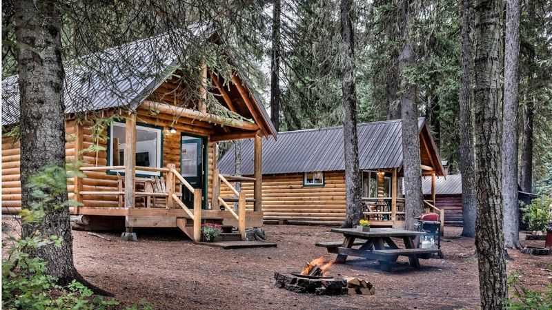 Pet-Friendly and Kid-Friendly: A Resort for the Whole Family Pet-Friendly and Kid-Friendly: A Resort for the Whole Family