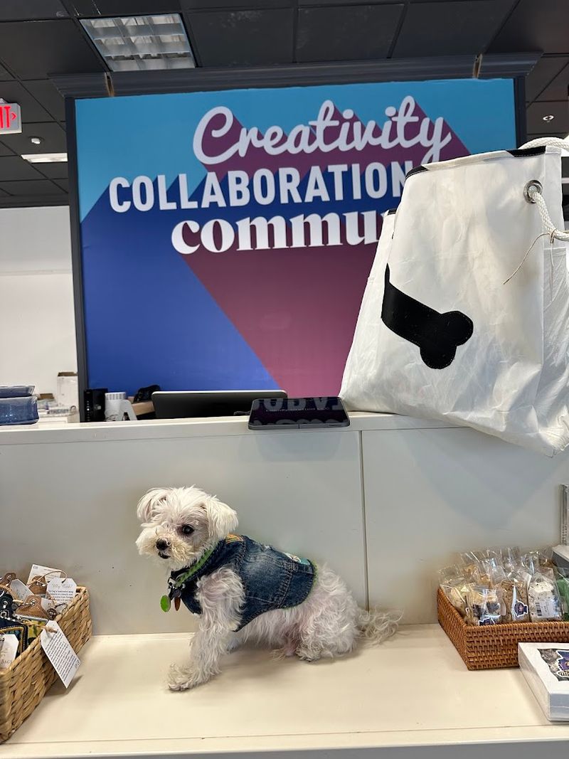 Pet Products and Apparel That Show Local Love