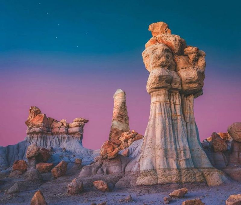 Petrified Wood and Fossils Hidden Across the Desert Floor Petrified Wood and Fossils Hidden Across the Desert Floor