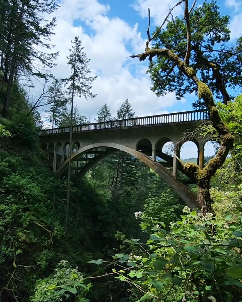 Photography Tips for Capturing the Falls and Bridge