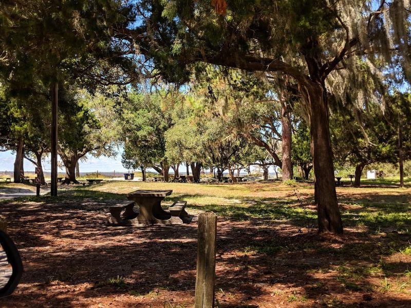 Picnic Areas, Fishing, and a Relaxed Pace That Sticks With You