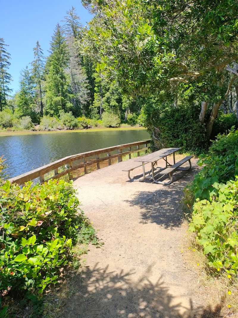 Picnic Areas That Make Lunch Feel Like a Special Occasion Picnic Areas That Make Lunch Feel Like a Special Occasion