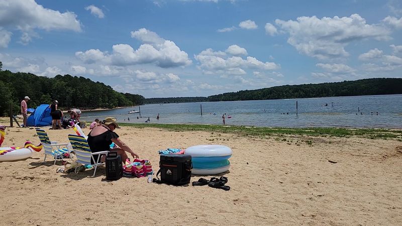 Picnic Shelters, Grills, and That Perfect Afternoon Setup Picnic Shelters, Grills, and That Perfect Afternoon Setup