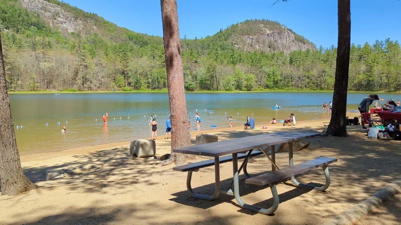 Picnicking With a View That Makes Every Bite Better