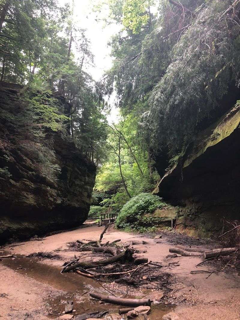 Plan Your Hike Around the Ancient Old-Growth Forest Inside the Preserve