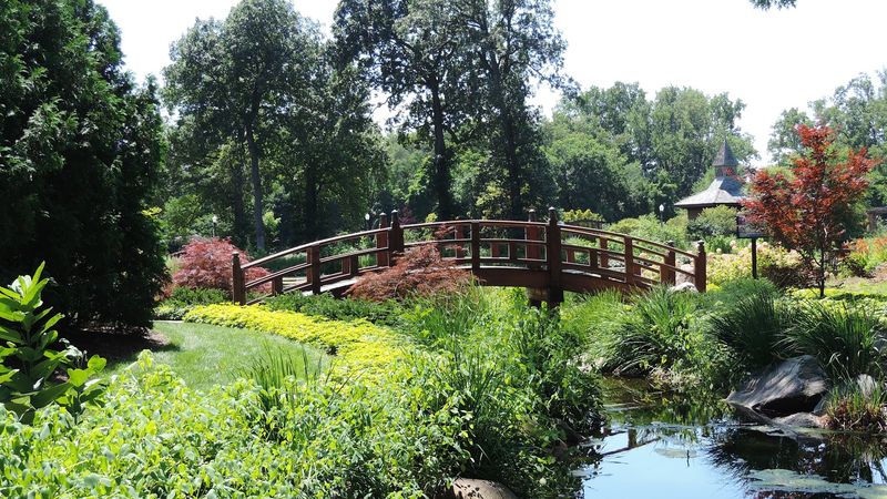 Plan Your Kids' Favorite Afternoon at the Adventure Path Plan Your Kids' Favorite Afternoon at the Adventure Path