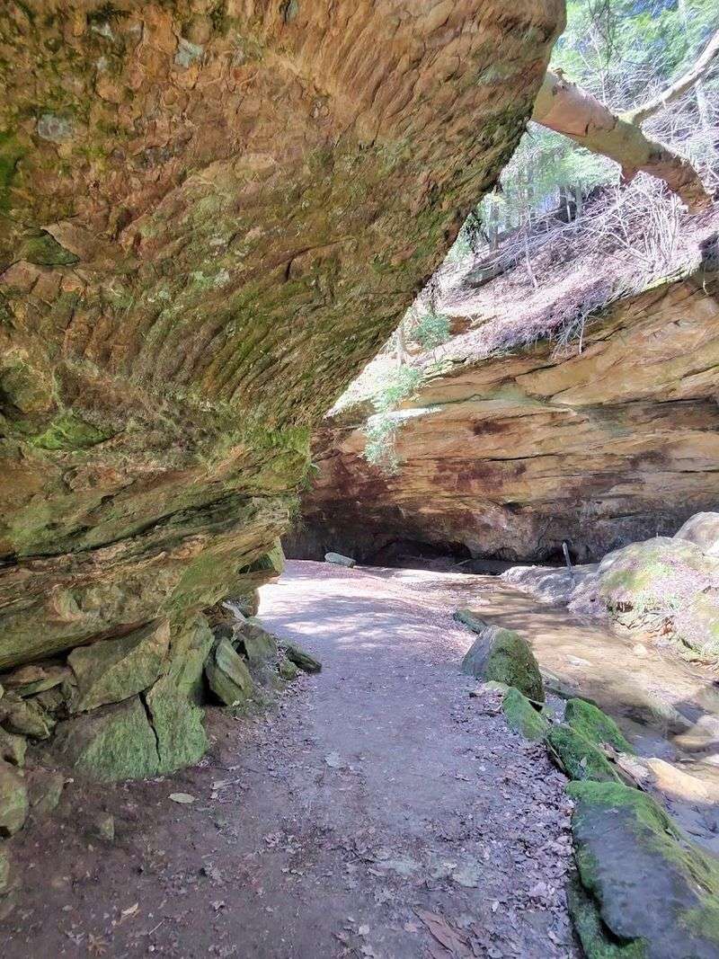 Plan Your Route Around The Rocky Hollow Nature Preserve Plan Your Route Around The Rocky Hollow Nature Preserve