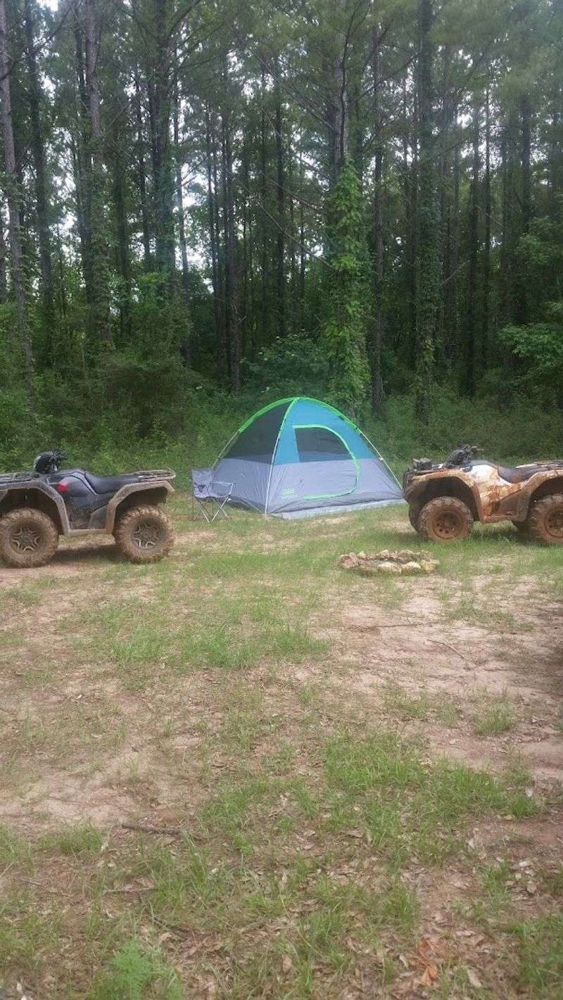Plan Your Stay at the Flexible Camping Options