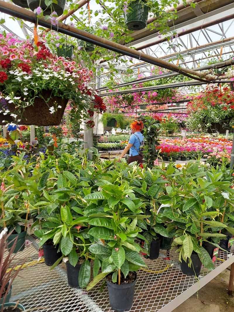 Plan Your Trip Around a Spring or Holiday Open House