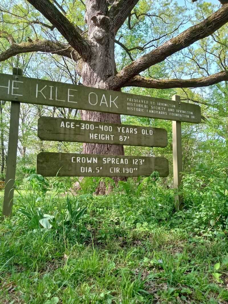 Plan Your Visit Around the Story of Rev. Kile Plan Your Visit Around the Story of Rev. Kile