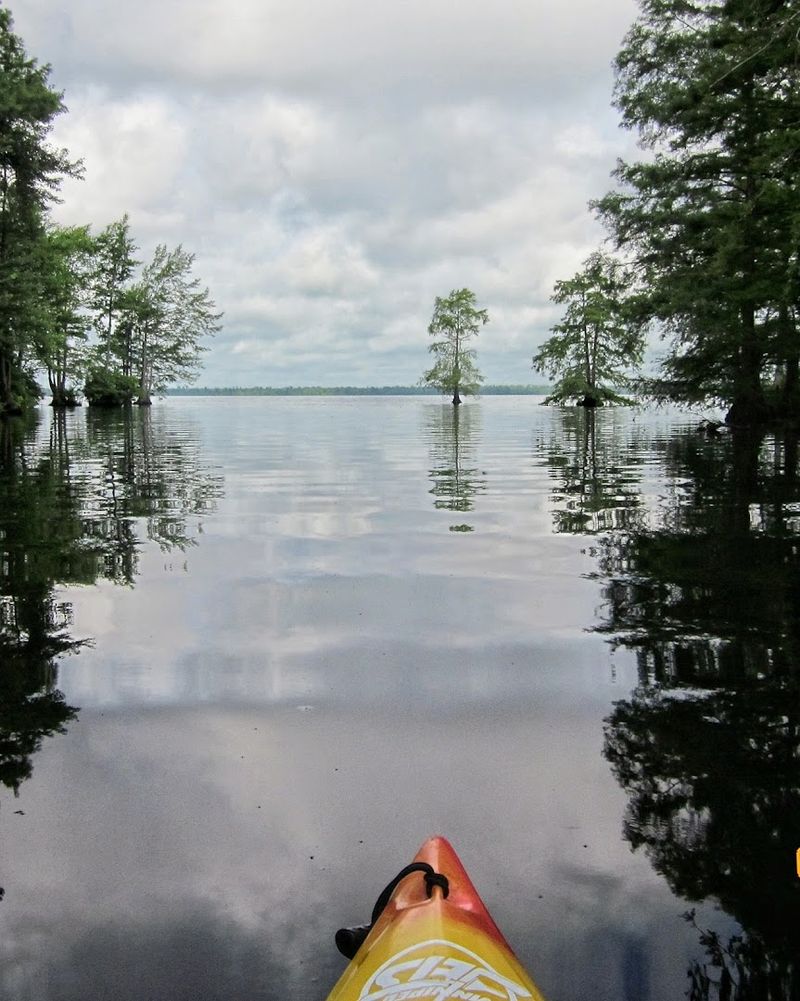 Plan Your Visit to Lake Drummond, Chesapeake