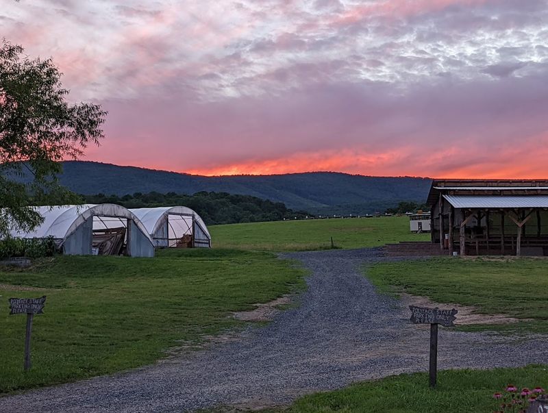 Plan Your Visit to Polyface Farm in Swoope