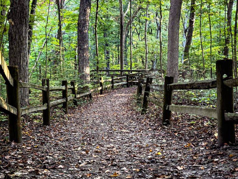 Plan Your Walk Along Four Prehistoric Mounds Plan Your Walk Along Four Prehistoric Mounds