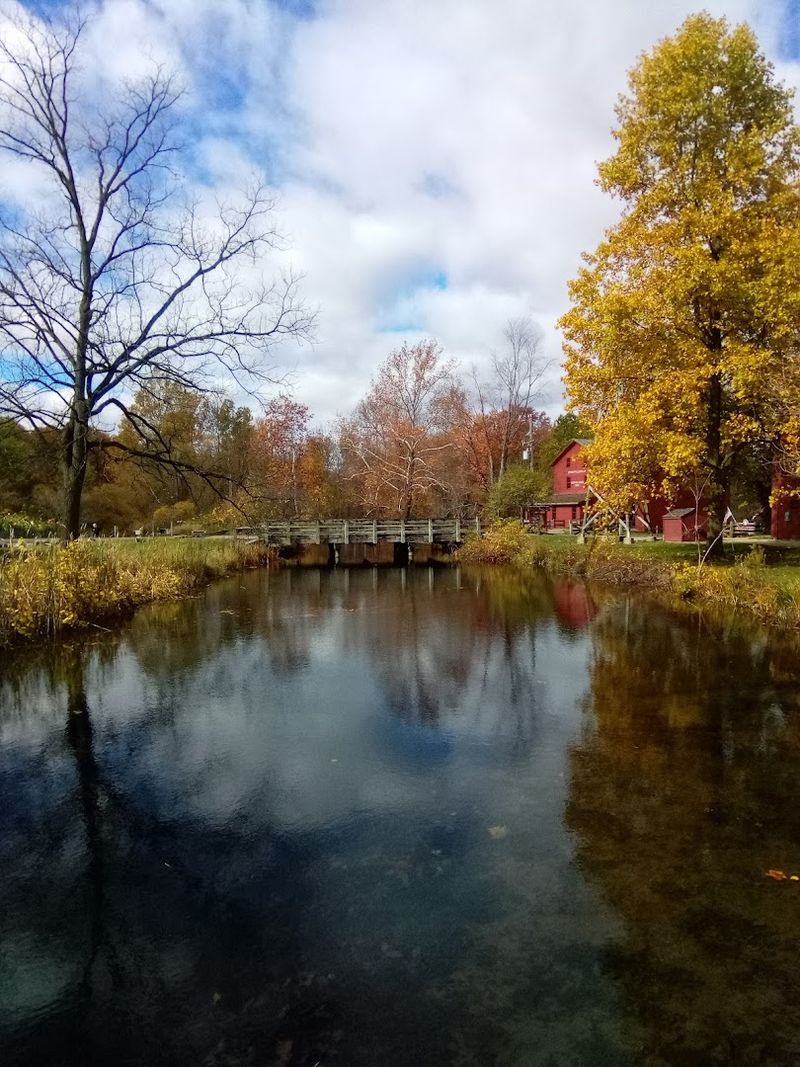 Plan a Scenic Picnic Near the Waterfall and Millpond