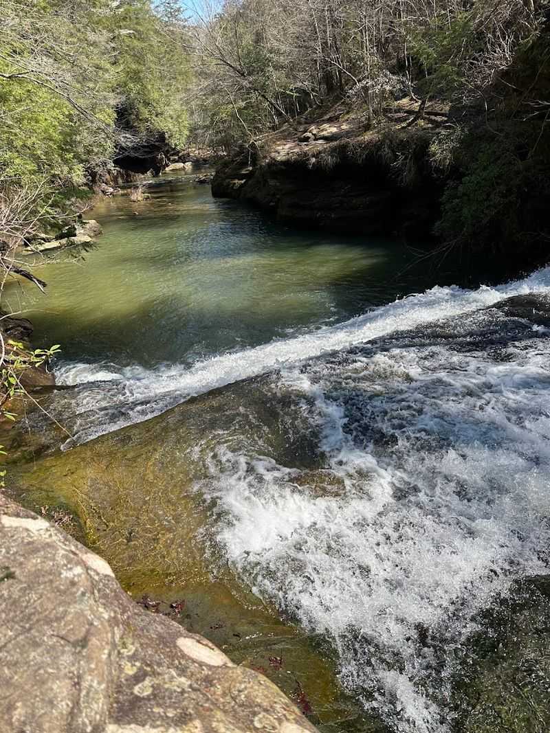 Plan a Trip Along the Sipsey Wild River Corridor Plan a Trip Along the Sipsey Wild River Corridor
