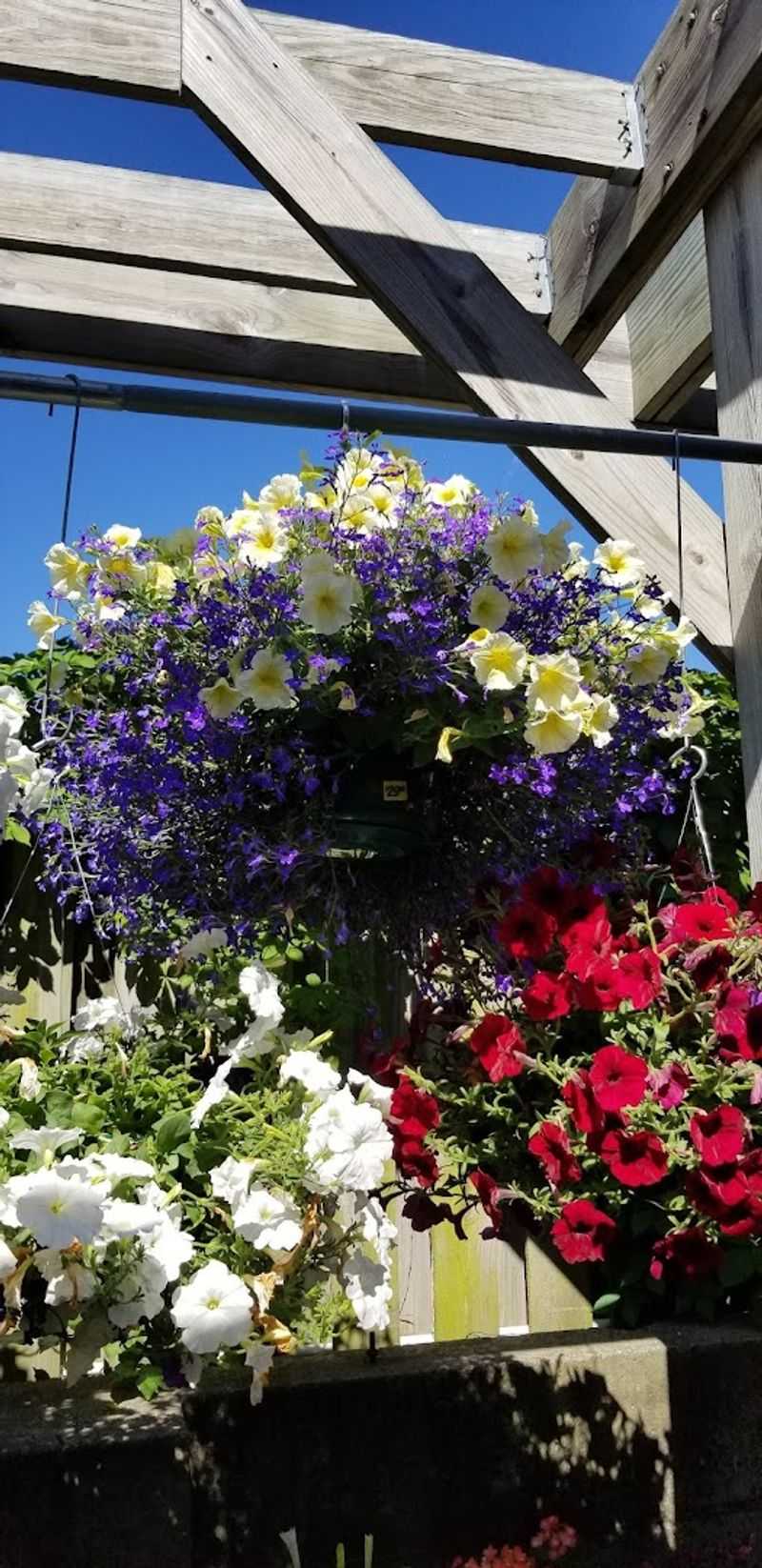 Plan to Find Bespoke Silk Floral Arrangements