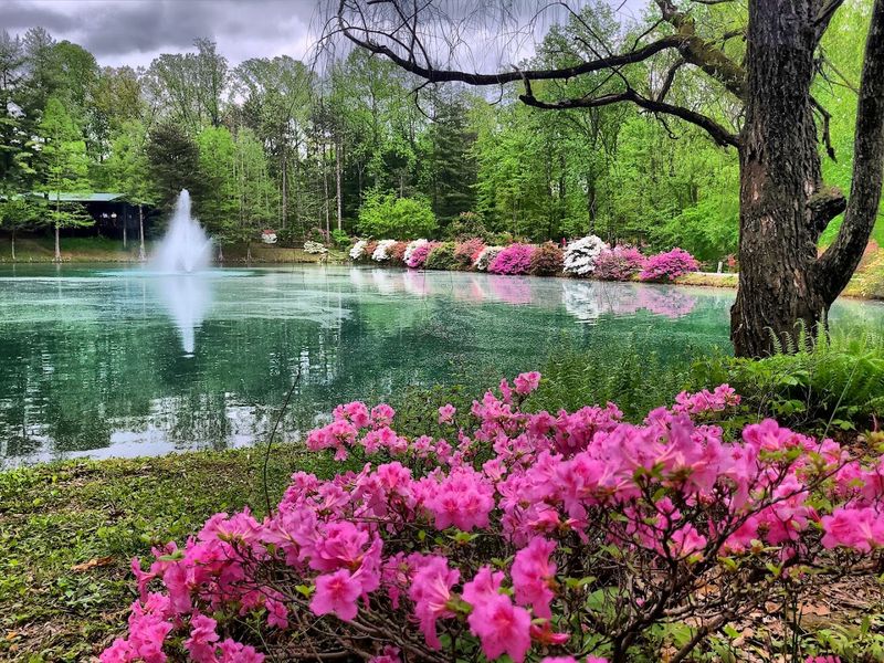 Plan to Stop at the Spring-Fed Lakes and Waterfall Plan to Stop at the Spring-Fed Lakes and Waterfall