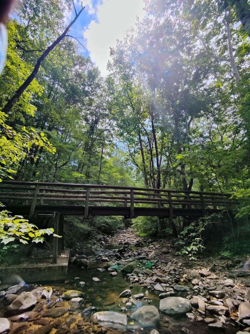 Planning Your Trip to Devil's Marbleyard