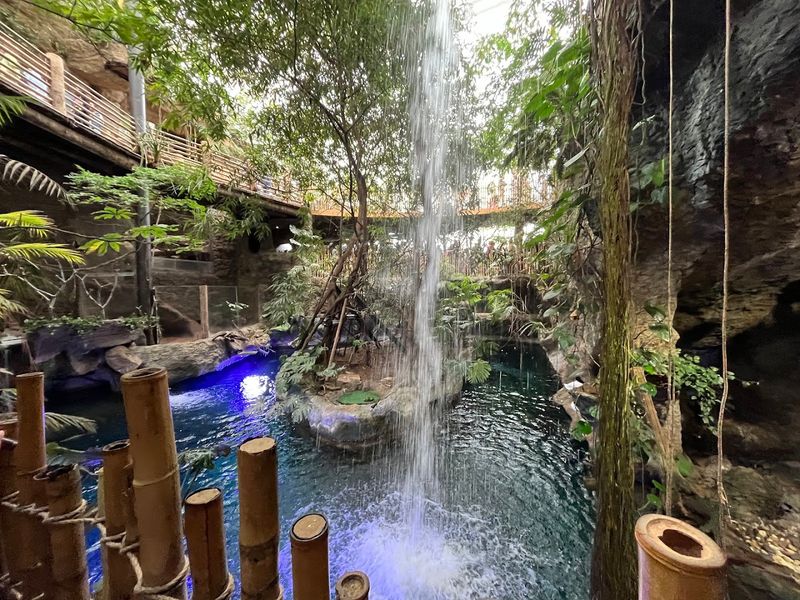 Planning Your Visit To The Dallas World Aquarium, What To Know Before You Go Planning Your Visit To The Dallas World Aquarium, What To Know Before You Go