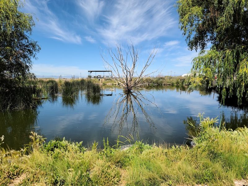 Planning Your Visit to Colorado Gators Reptile Park Planning Your Visit to Colorado Gators Reptile Park