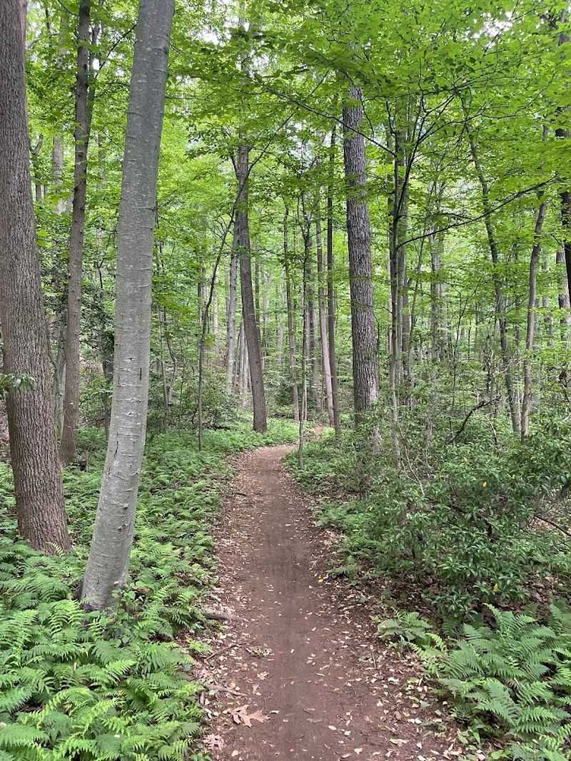 Planning Your Visit to Hartshorne Woods Park Planning Your Visit to Hartshorne Woods Park