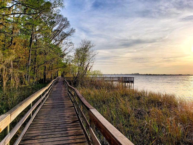 Planning Your Visit to Historic Blakeley State Park