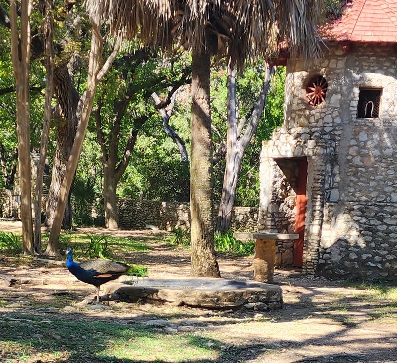 Planning Your Visit to Mayfield Park and Nature Preserve