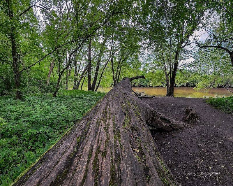 Planning Your Visit to Mounds State Park on Trail 1 Planning Your Visit to Mounds State Park on Trail 1