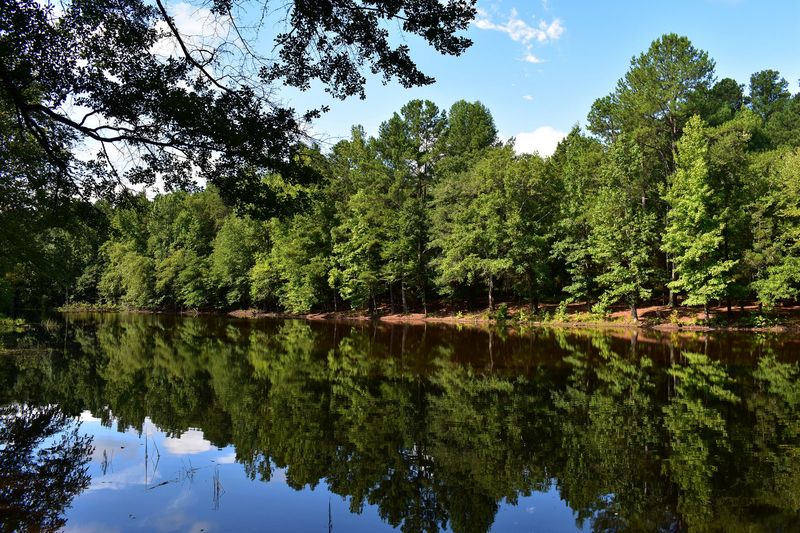 Planning Your Visit to Musgrove Mill State Historic Site Planning Your Visit to Musgrove Mill State Historic Site