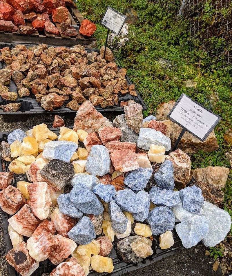 Planning Your Visit to Nature's Treasures in Austin