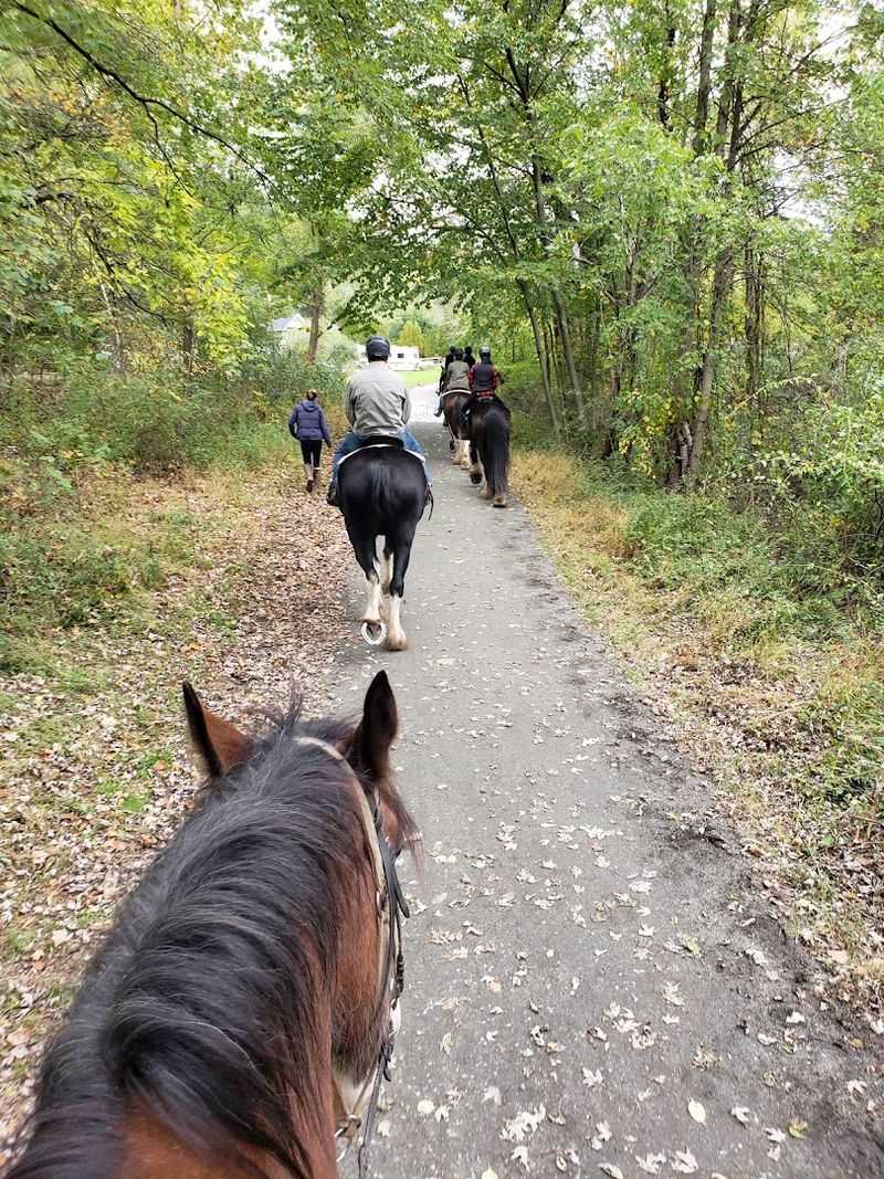 Planning Your Visit to Willow Grove Farm Planning Your Visit to Willow Grove Farm