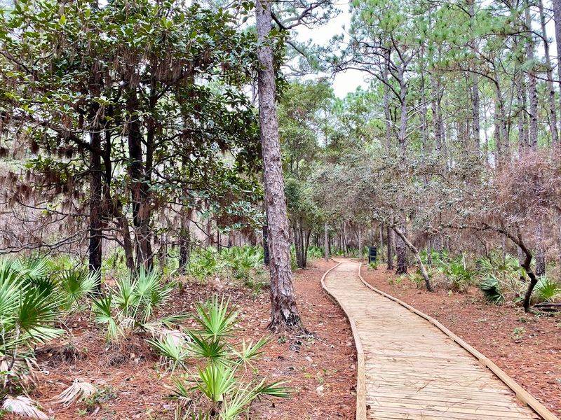 Planning Your Visit to the Audubon Bird Sanctuary Planning Your Visit to the Audubon Bird Sanctuary