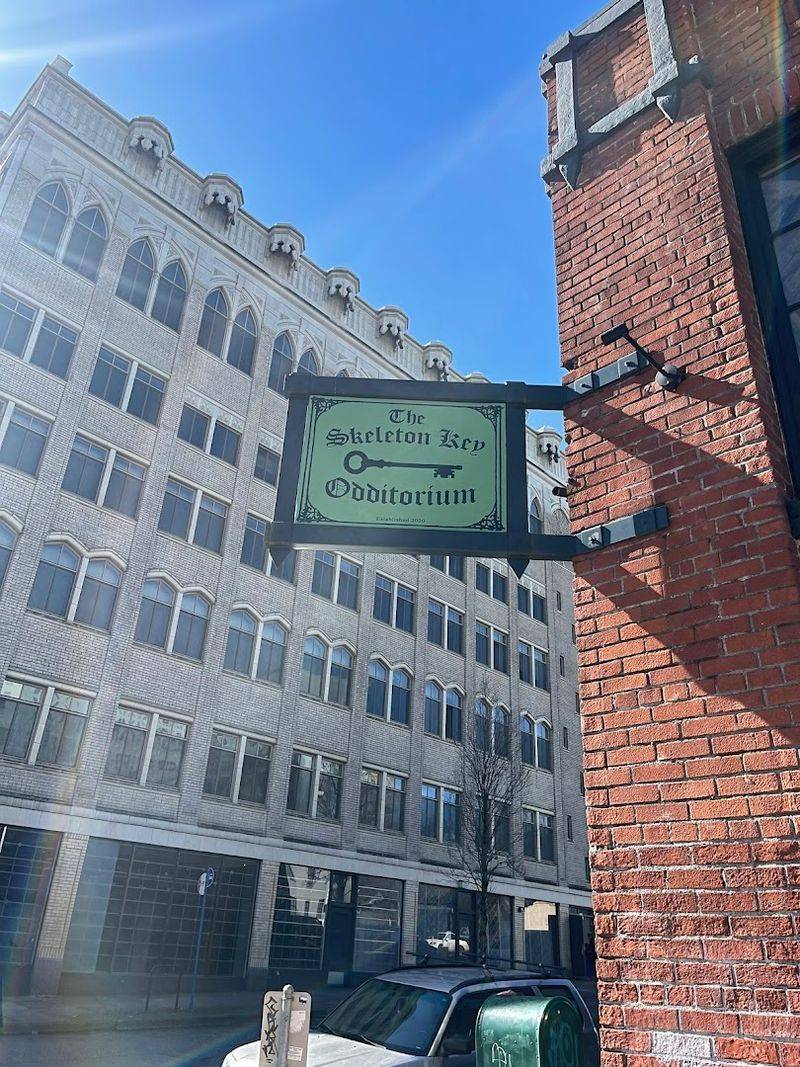 Planning Your Visit to the Skeleton Key Odditorium
