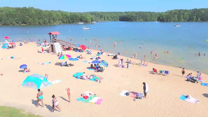 Plunging Into Pristine Sandy Shores
