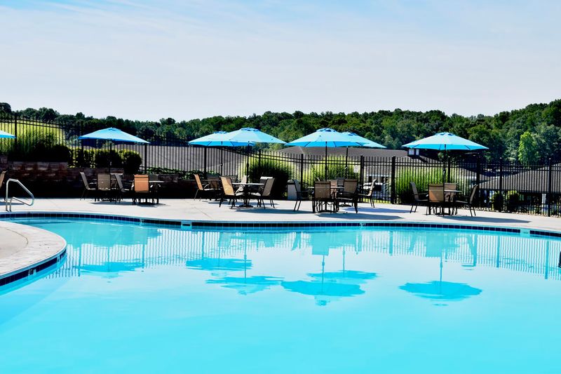 Poolside Bliss and Lakefront Beach Days