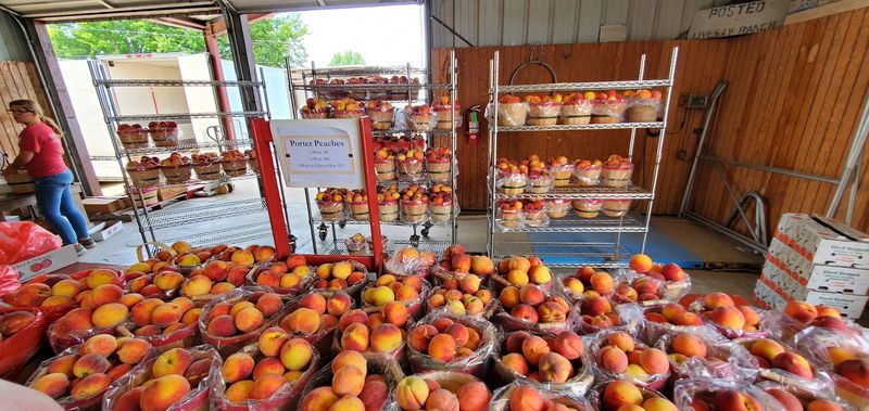 Porter Knows How To Celebrate Peaches