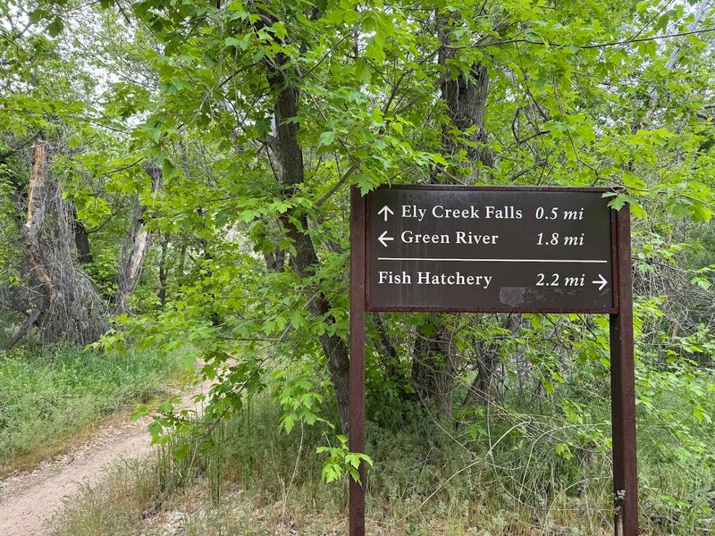 Practical Pointers for Your Visit to Ely Creek Falls Practical Pointers for Your Visit to Ely Creek Falls