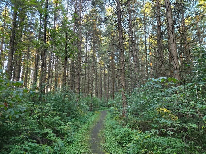 Practical Tips For Your Boardwalk Visit Practical Tips For Your Boardwalk Visit
