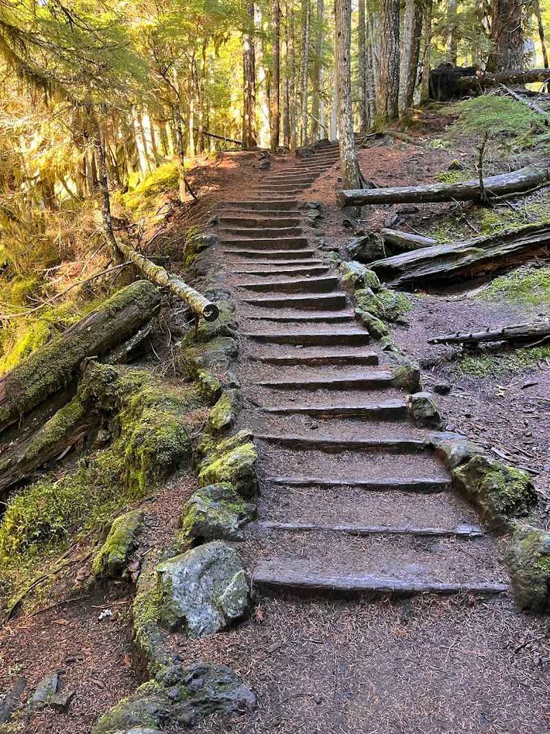 Practical Tips for Getting the Most Out of Your Visit
