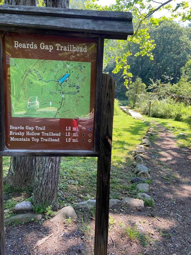 Practical Tips for Hiking the Brushy Hollow Route Practical Tips for Hiking the Brushy Hollow Route