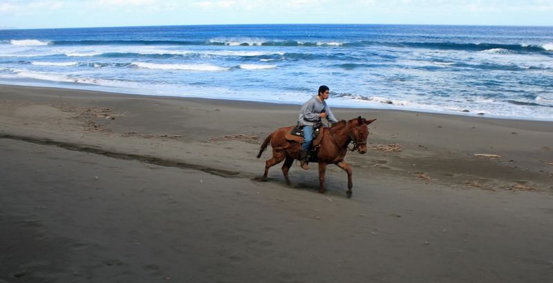 Practical Tips for Planning a Visit to Awahua Beach Practical Tips for Planning a Visit to Awahua Beach