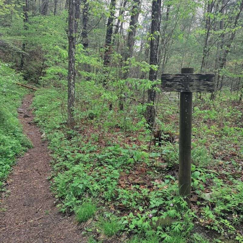 Practical Tips for Tackling Ramseys Draft Trail Practical Tips for Tackling Ramseys Draft Trail