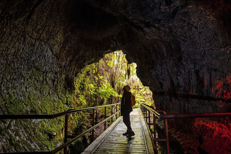 Practical Tips for Visiting N?huku Like a Pro Practical Tips for Visiting N?huku Like a Pro