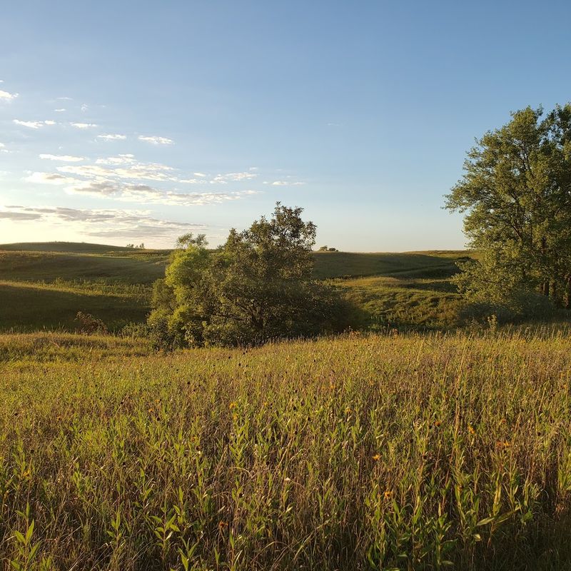 Prairie Views and the Beauty of the Bluebird Trail