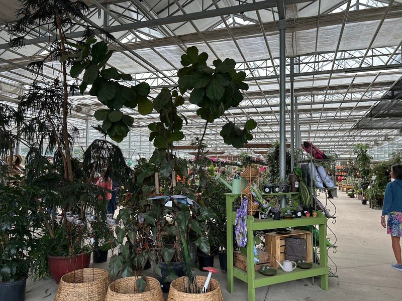 Premium Garden Supplies That Actually Deliver